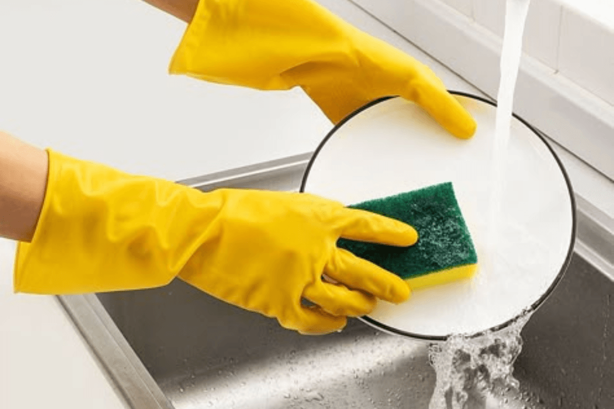 Kitchen Sponge Bacteria Risk: बर्तन साफ करने वाले स्पंज को कितने दिन में बदलें