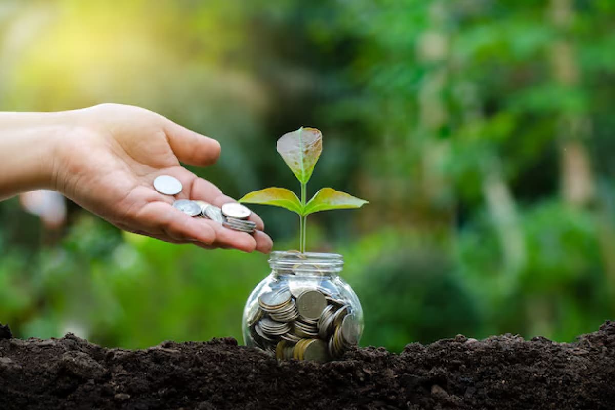 छोटी एसआईपी का बड़ा कमाल, मात्र 250 रुपये में कर देगी सबको मालामाल