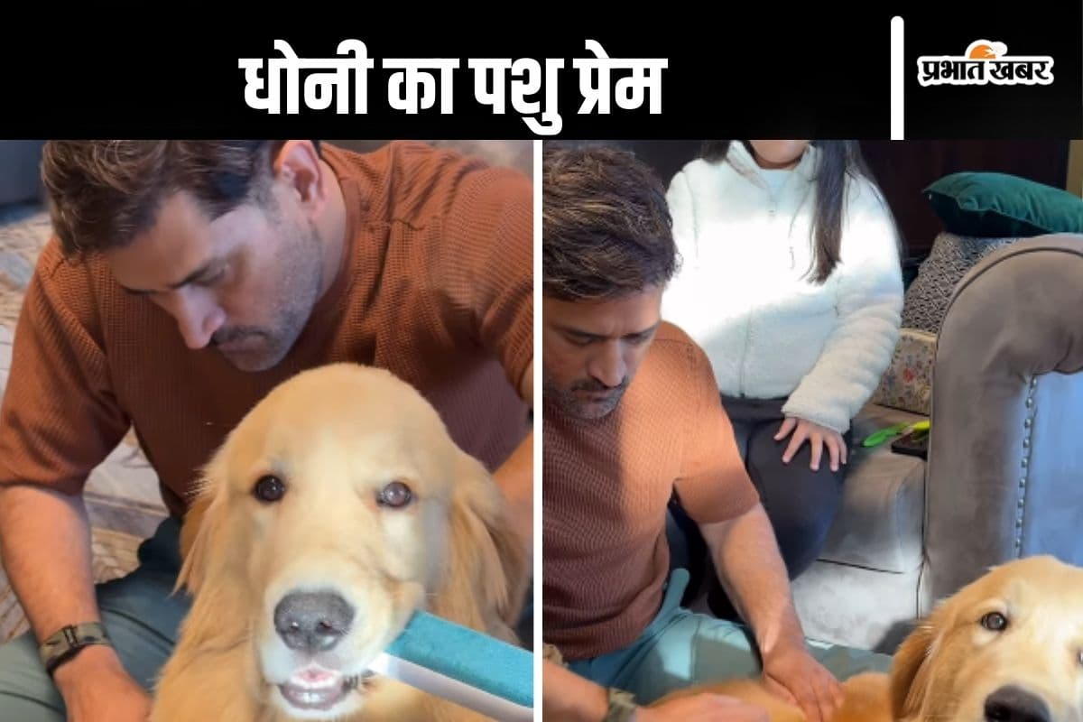 Watch Video : धोनी अपने कुत्ते का रखते हैं खास ध्यान, देखें वीडियो