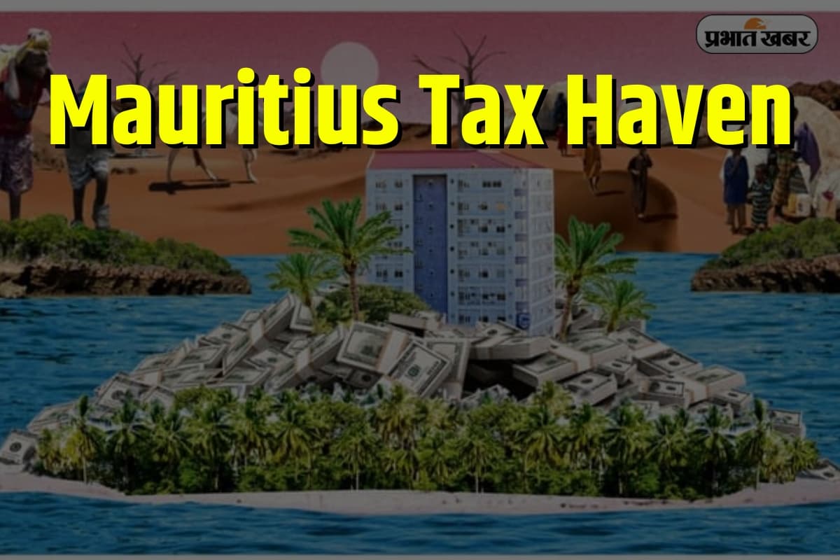 Mauritius Tax Haven: मॉरीशस क्यों कहलाता है 'टैक्स हैवन'? जानिए पर्दे के पीछे की कहानी