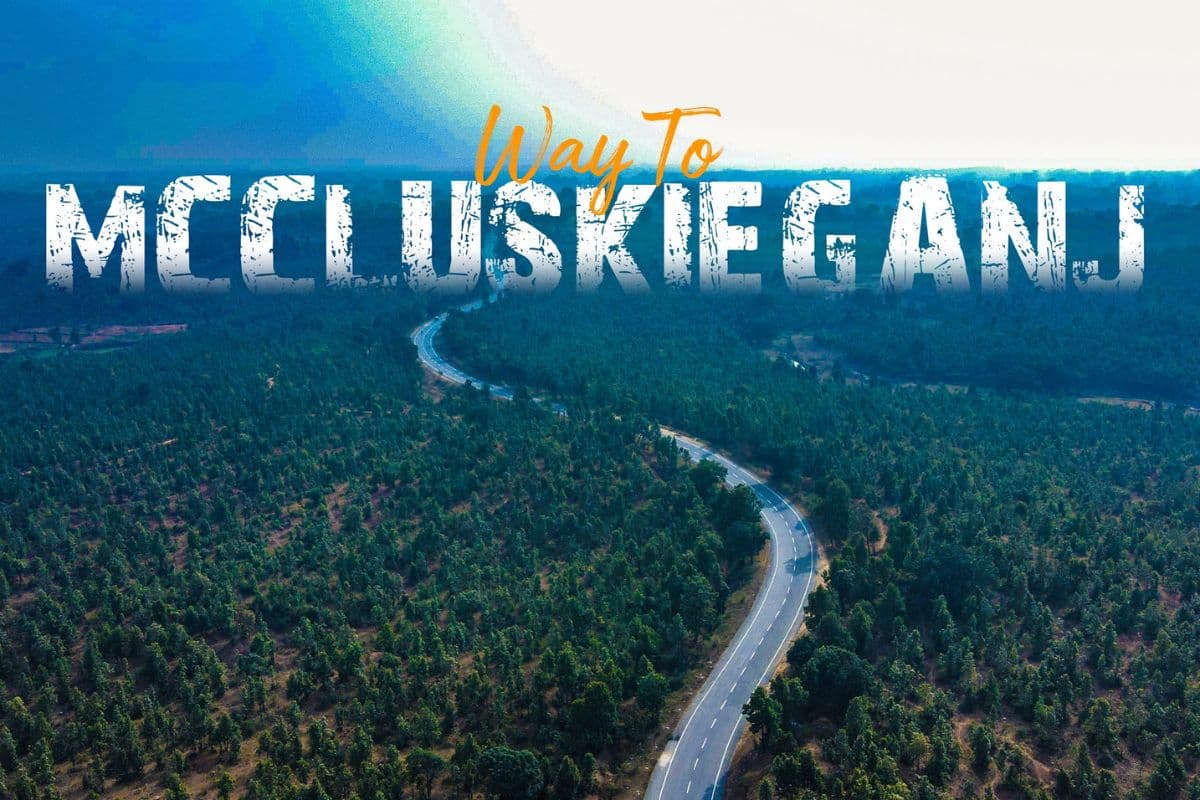 रांची का ये है खूबसूरत हिल स्टेशन, विदेशी भी आते हैं छुट्टियां मनाने, पढ़ें मिनी लंदन की कहनी