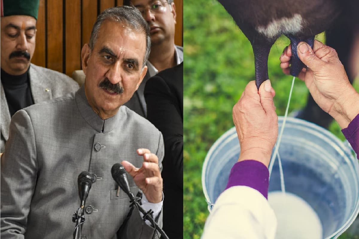 Budget 2025: हिमाचल प्रदेश में बढ़े दूध के दाम, सुक्खू सरकार का बजट में ऐलान