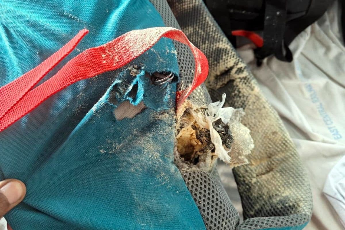 मुजफ्फरपुर-पुणे स्पेशल ट्रेन में चूहों ने काटा 10 हजार का सामान, DRM ने मेंटेनेंस करने वाली एजेंसी पर लगाया इतने हजार का जुर्माना