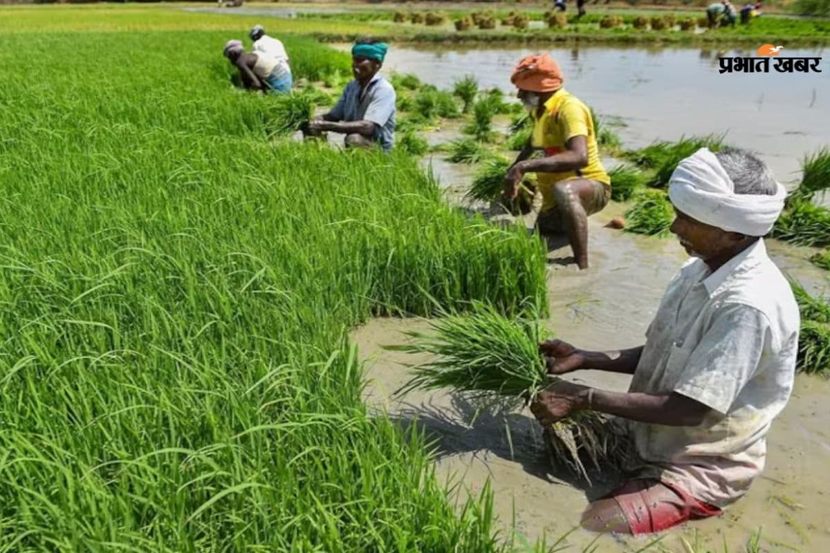 नीतीश सरकार ने किसानों को दिया बड़ा तोहफा, खेती करने के लिए जल्द मिलेगा ये खास लाभ