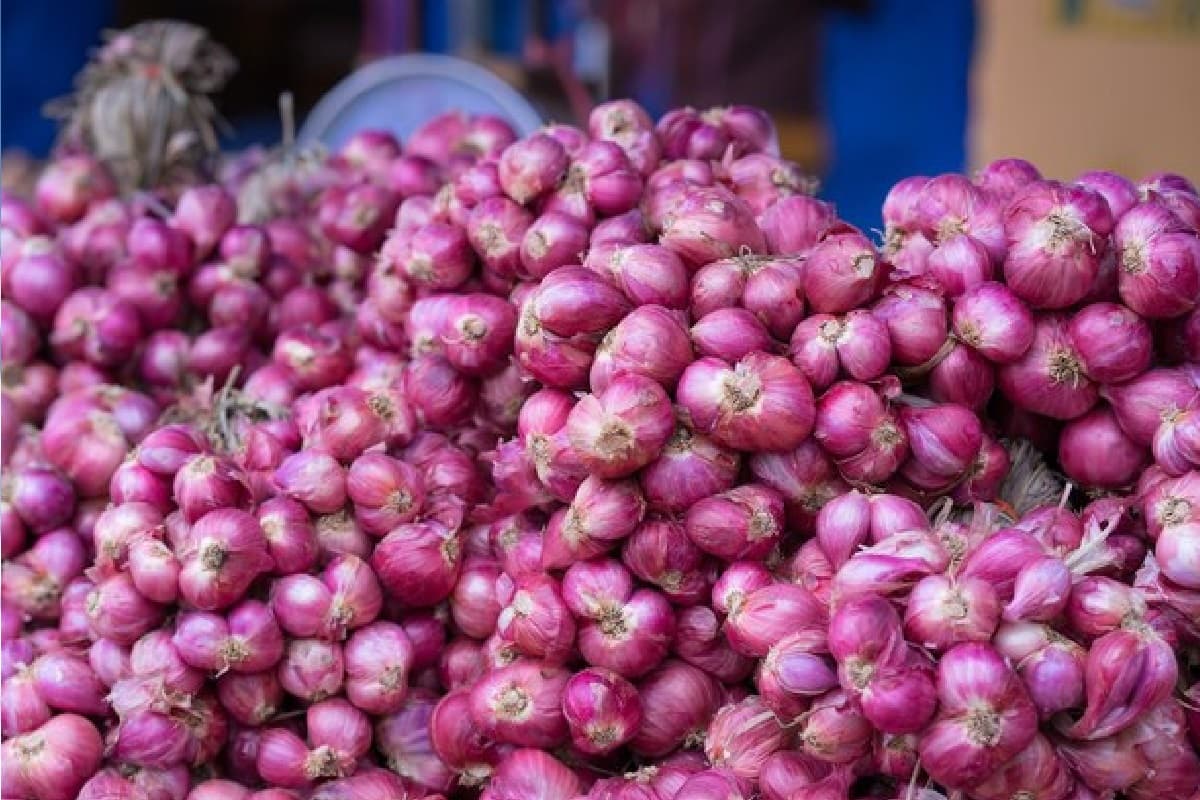 प्याज की कीमतों में गिरावट पर किसानों का प्रदर्शन, लासलगांव एपीएमसी में नीलामी फिर शुरू