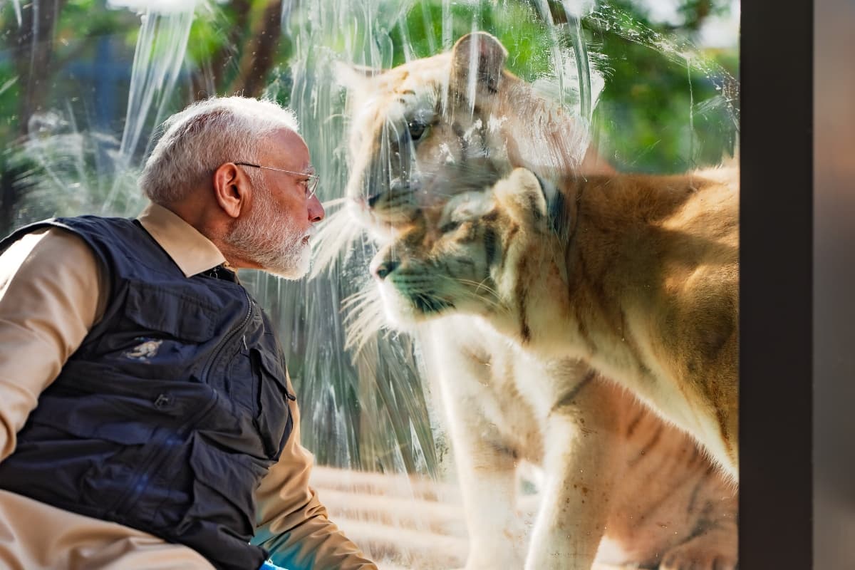 PM Modi: पीएम मोदी ने वंतारा वाइल्डलाइफ का किया उद्घाटन, शावकों के साथ खेला, मगरमच्छ, जिराफ, चिंपैंजी के साथ गुजारा वक्त