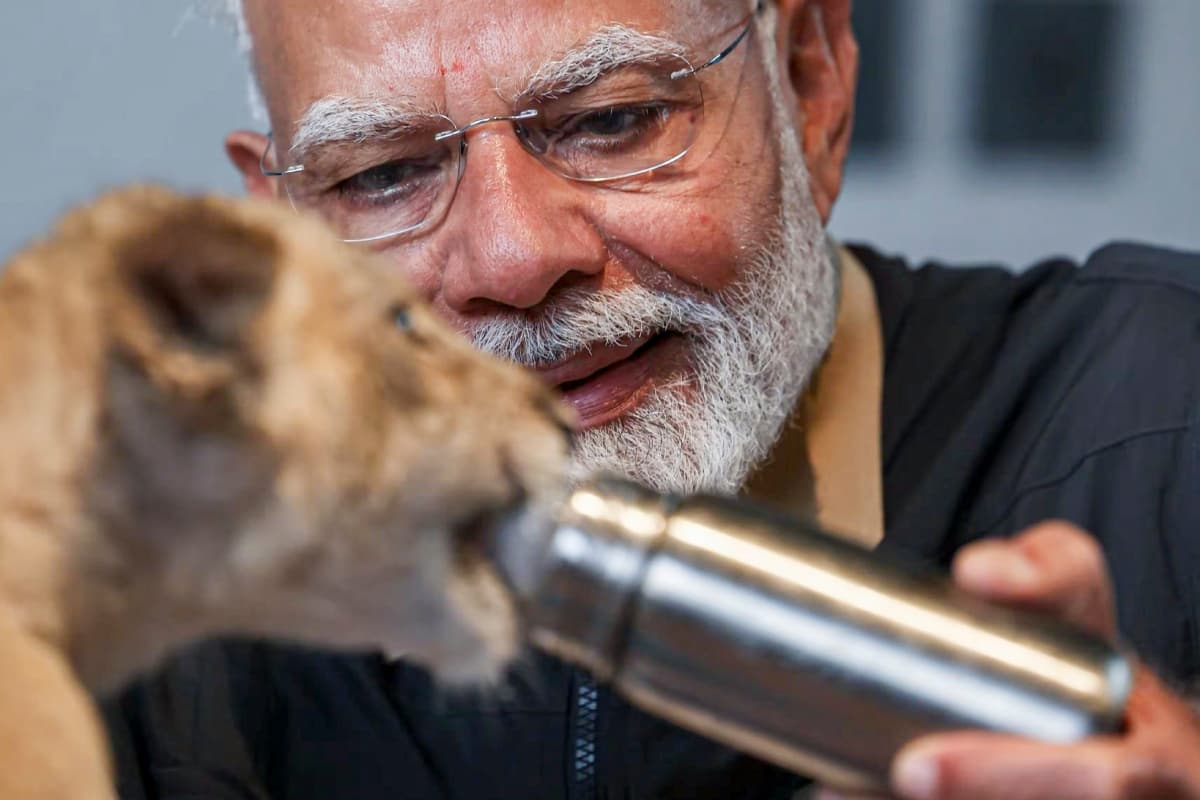 Photo: तेंदुए और शेर के साथ दिखा पीएम मोदी का अनोखा अंदाज, आप भी उठाएं लुत्फ