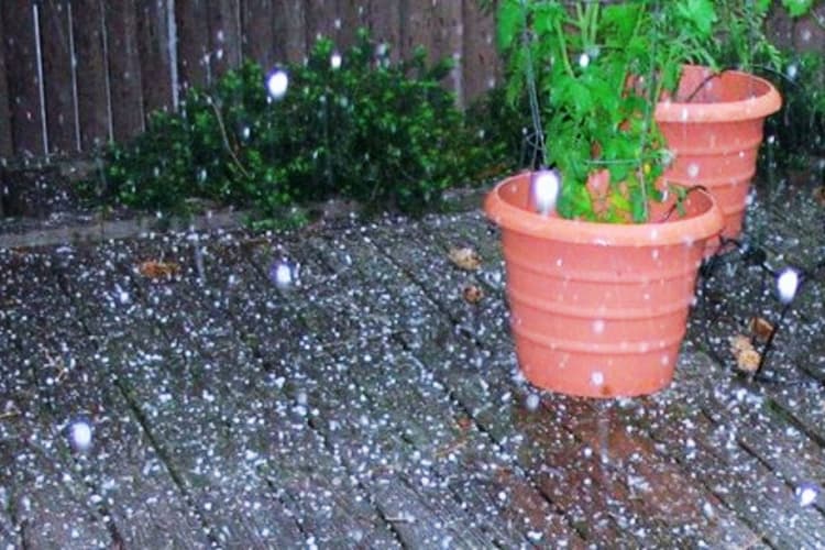 मौसम विभाग ने जारी किया वर्षा-वज्रपात और ओलावृष्टि का रेड अलर्ट, गिरिडीह में झमाझम बारिश, देखें Video