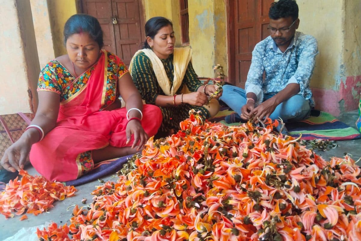 पलाश के फूल से गुलाल तैयार करती महिलाएं, प्रभात खबर