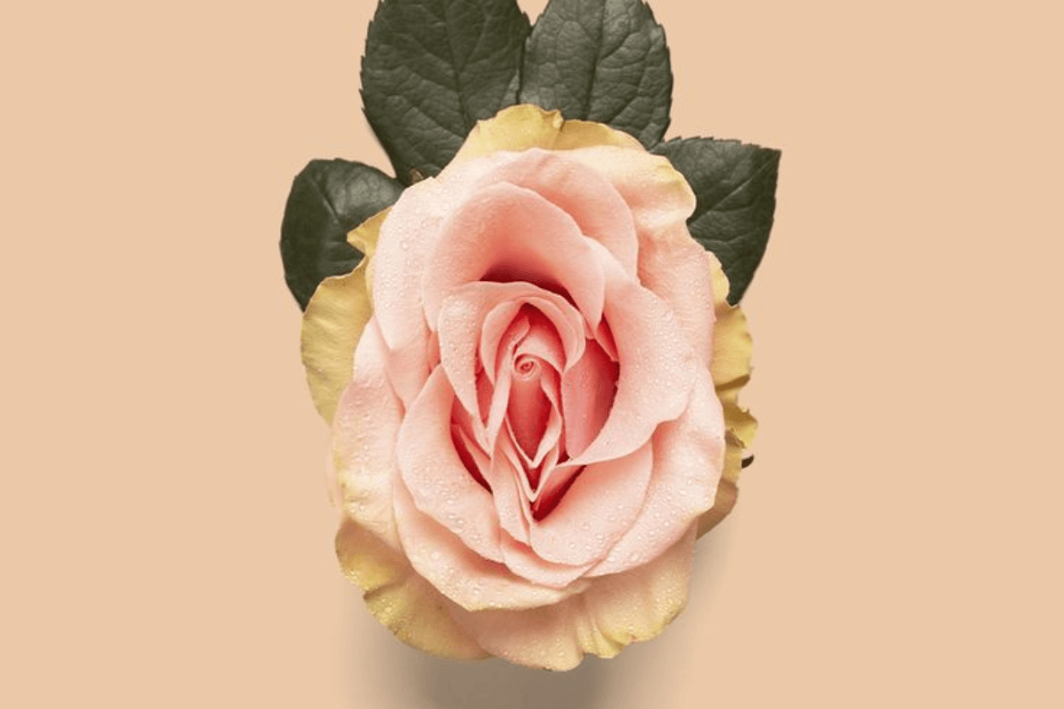 Common Symptoms of Urine Infection: प्राइवेट पार्ट में हो रही है ये दिक्कतें तो बिल्कुल न करें इग्नोर