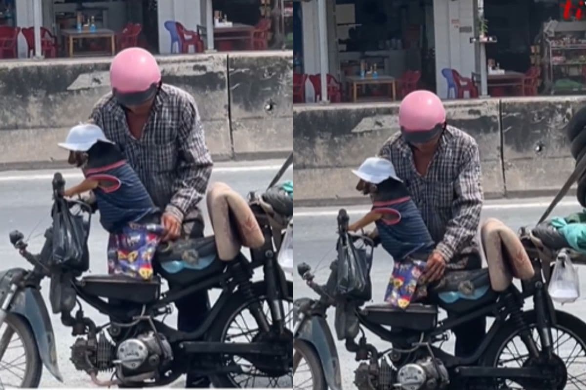 Viral Video: दिल छू लेगा आदमी का कुत्ते के प्रति पिता जैसा प्यार, वीडियो वायरल