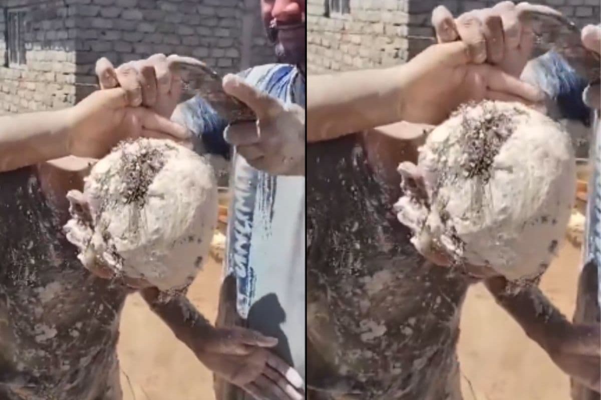 रंगों के बजाय सीमेंट के साथ लड़कों ने खेली होली, छुड़ाते-छुड़ाते याद आ गई उन्हें नानी