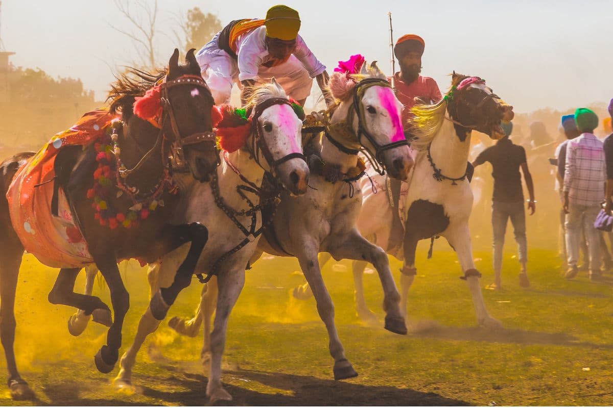 hola mohalla