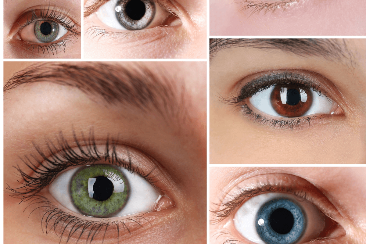 Eye Color Secrets: आंखों के रंगों का क्या है राज, जानें क्या कहता है आपके बारे में