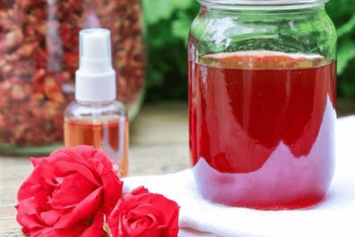 Homemade Gulab Jal: शुद्ध गुलाब जल बनाने का आसान तरीका, घर पर आजमाएं