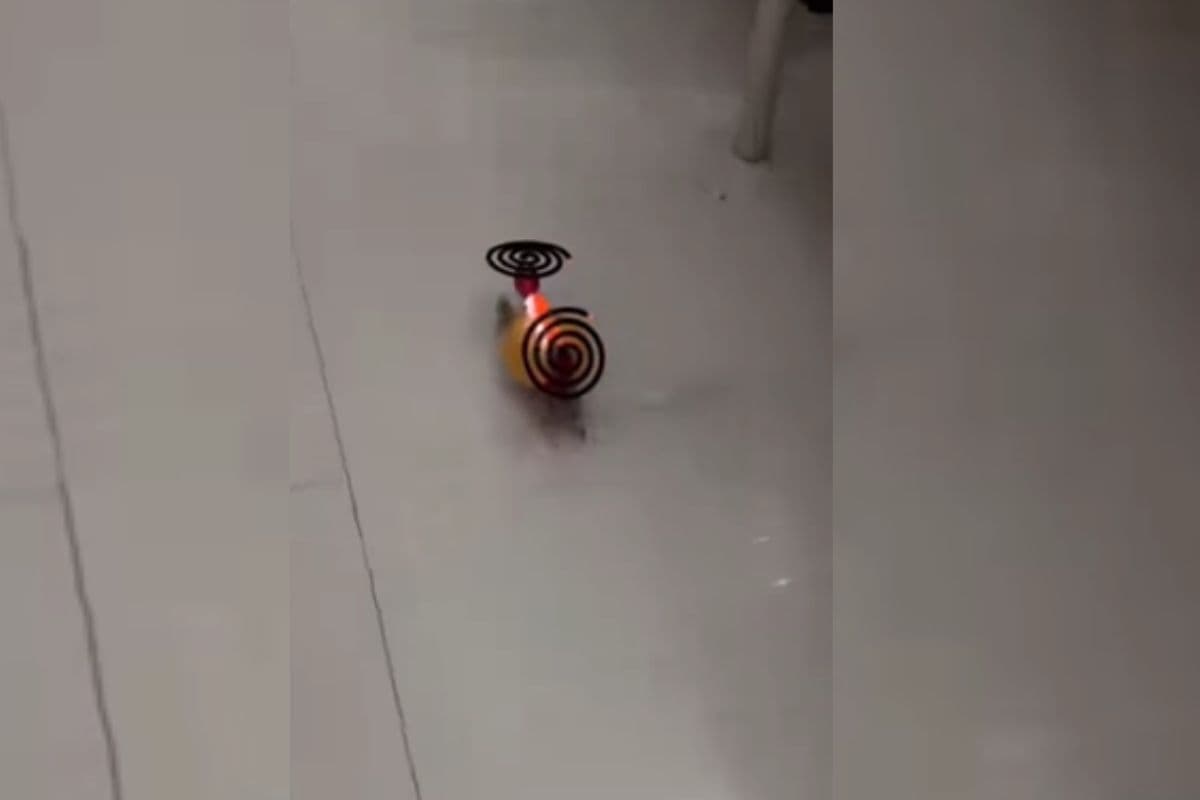 Viral Video: मच्छर भगाने का देसी जुगाड़ देख खिल जाएगा दिल, क्वायल घूम-घूम कर भगा रहा मच्छर, वीडियो वायरल