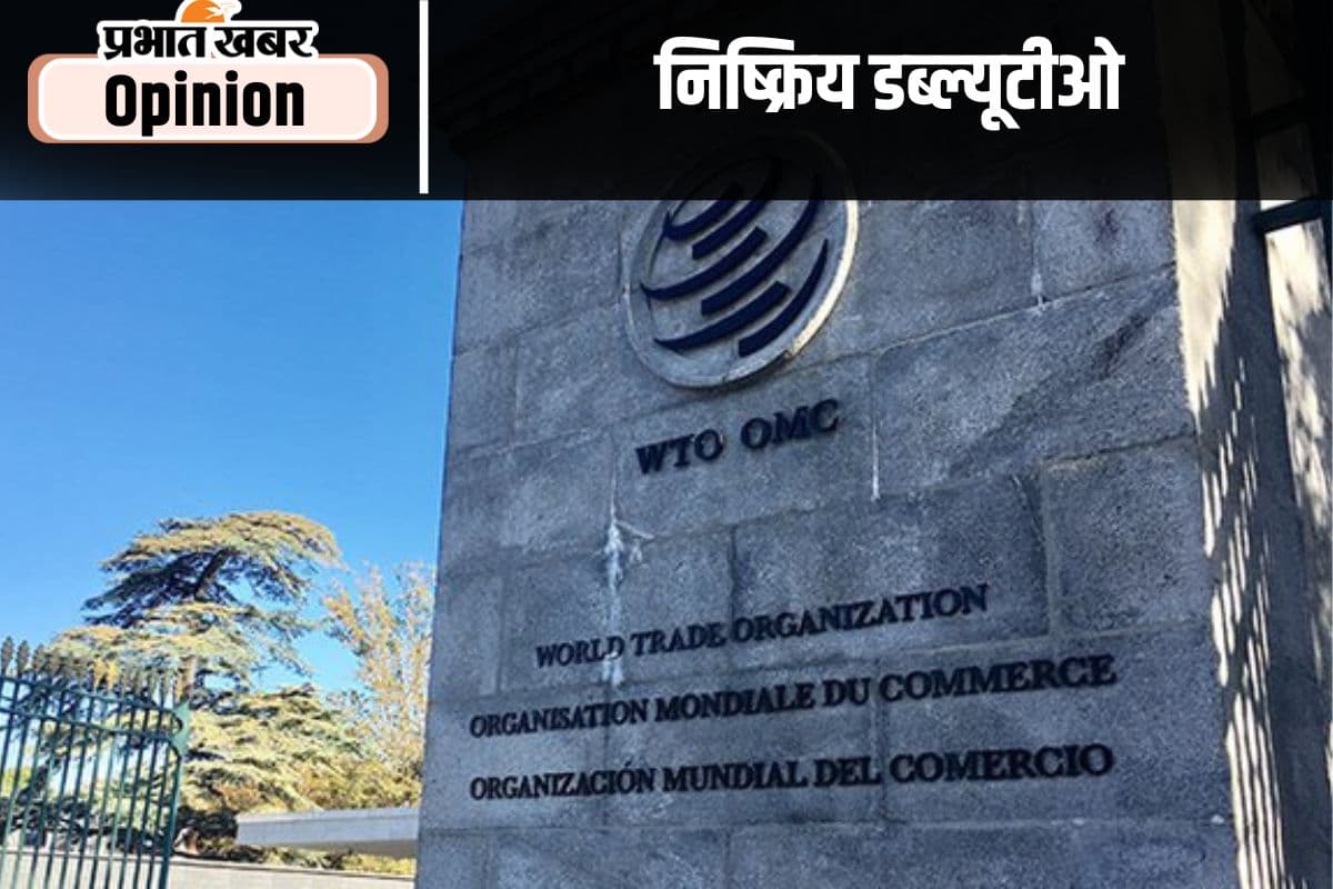 निष्क्रिय डब्ल्यूटीओ से भारत को क्षति