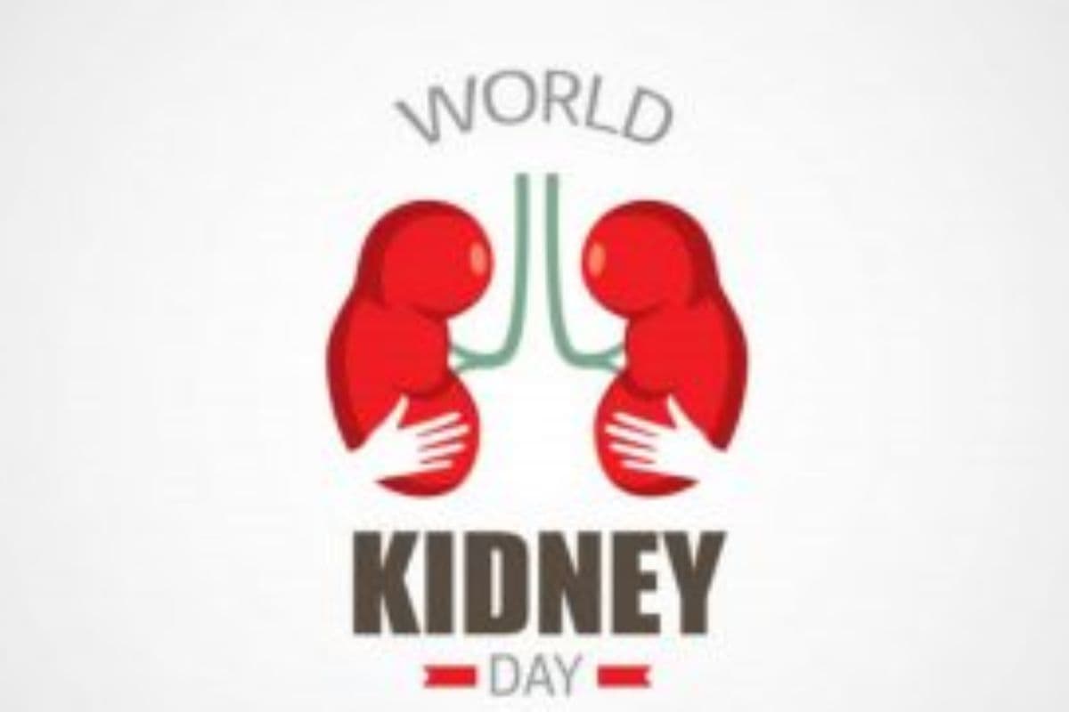 World Kidney Day 2025: झारखंड में हर 10 में एक है किडनी का मरीज, कहीं आप भी तो नहीं हैं इसकी चपेट में?