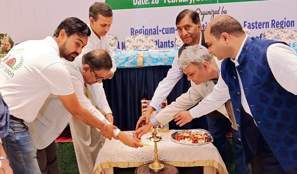 Gaya News : मगध की पहाड़ियों पर उगनेवाले औषधीय पौधे यूं ही हो रहे बर्बाद