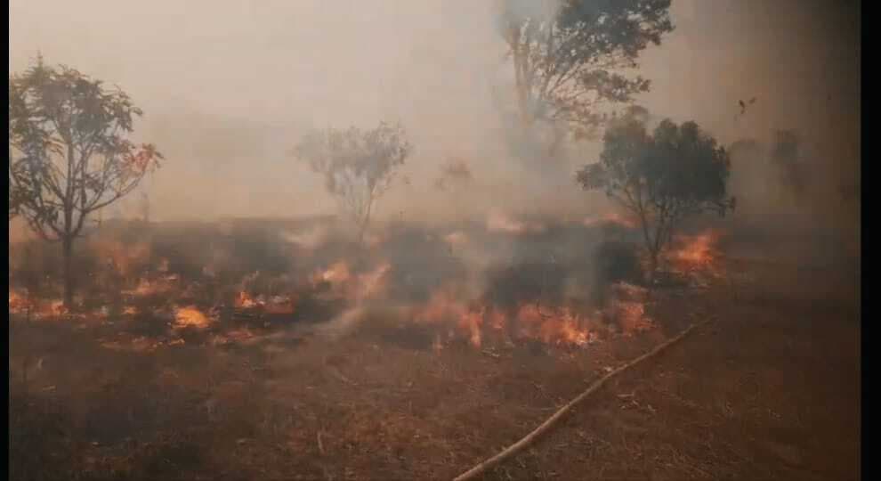 Giridih News : आम बागवानी में आग लगा देने की शिकायत