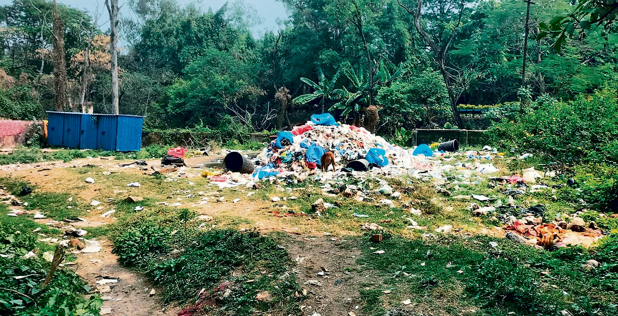 Dhanbad News : एसएनएमएमसीएच में कचरे का उठाव बंद, खुले में फेंका जा रहा बायो मेडिकल वेस्ट