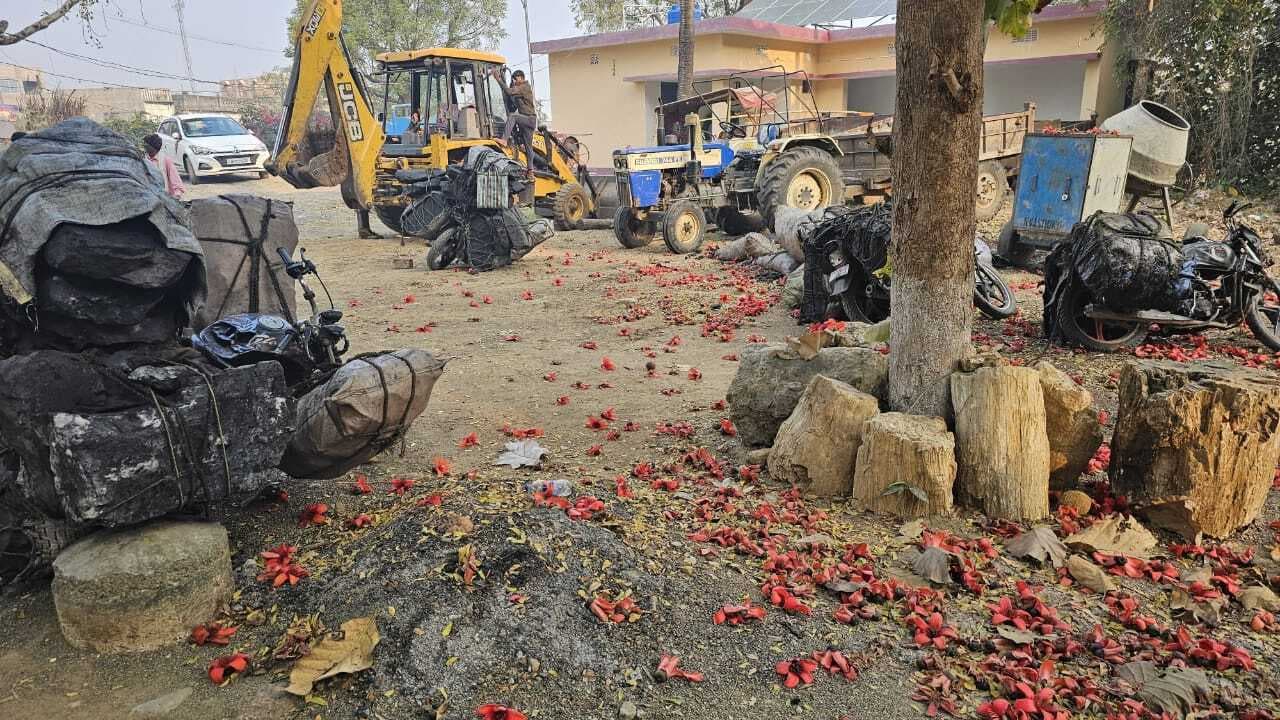 वन विभाग ने 40 क्विंटल काेयला लदी पांच बाइकें की जब्त