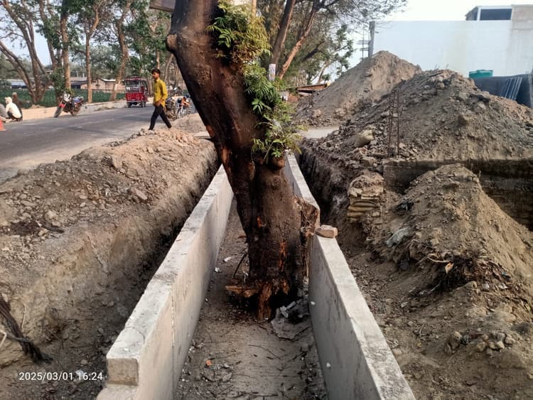 एनएच 81 किनारे बन रहे नाला के बीच रोड़ा बना पेड़