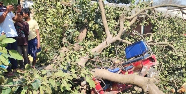 ई-रिक्शा पर गिरी पेड़ की टहनी, दो यात्री घायल