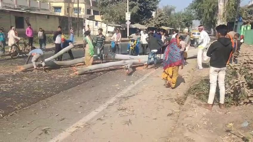 सड़क पर गिरा लिप्ट्स का पेड़, आवागमन बाधित