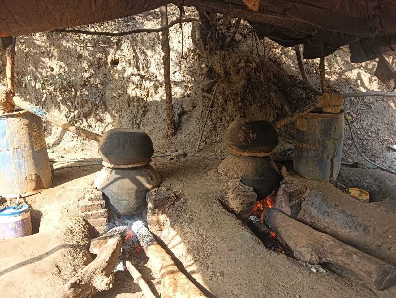 Giridih News :जंगलों में चल रहा है अवैध महुआ शराब चुलाई का धंधा