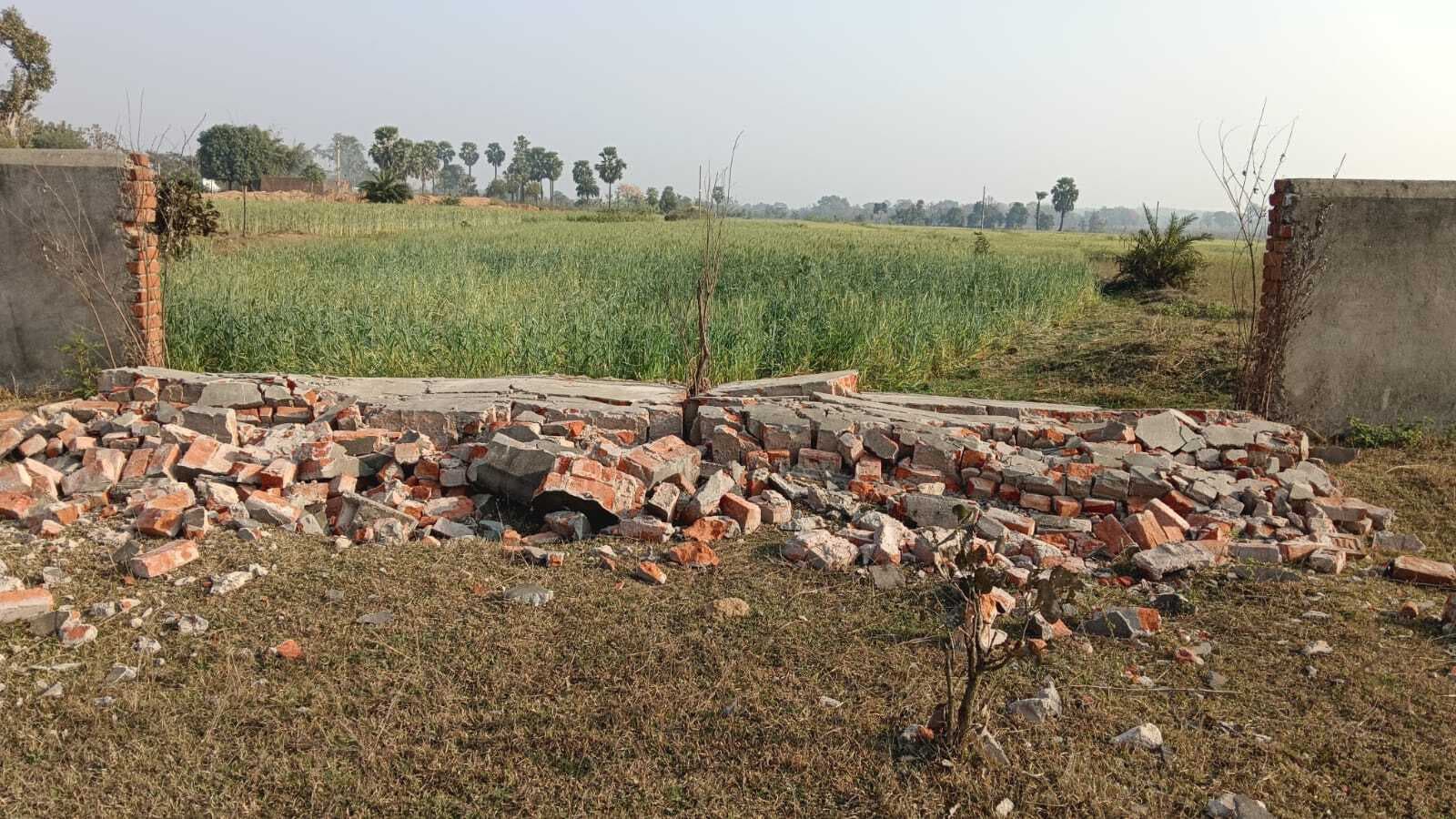 Dhanbad News: टुंडी में हाथियों का उत्पात, कॉलेज की चहारदीवारी तोड़ी