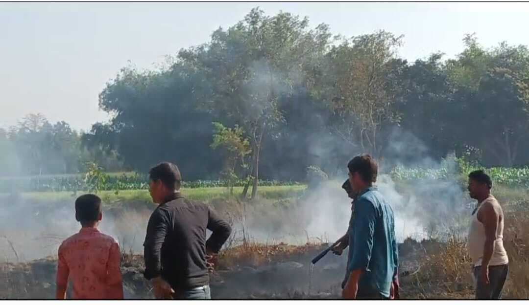 आग लगने से गेहूं की फसल जलकर राख