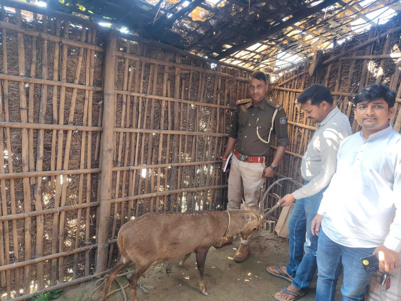 पहुंसरा में ग्रामीणों ने पकड़ा हिरण