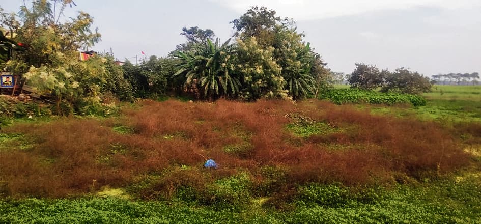 तीन करोड़ की लागत से आहर का होगा जीर्णोद्धार, मिली मंजूरी