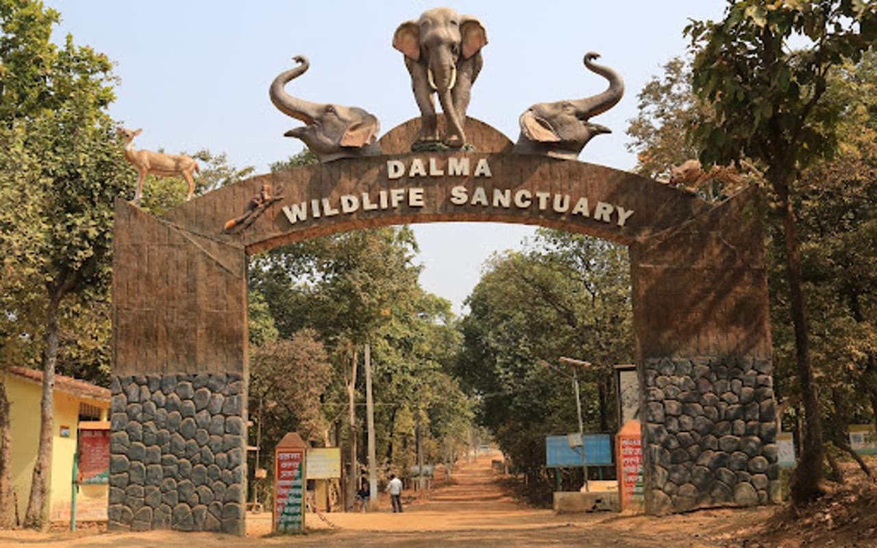 Jamshedpur News : दलमा में ग्रामीणों को बिना पहचान पत्र के अब नहीं मिलेगा प्रवेश, जानिये क्यों