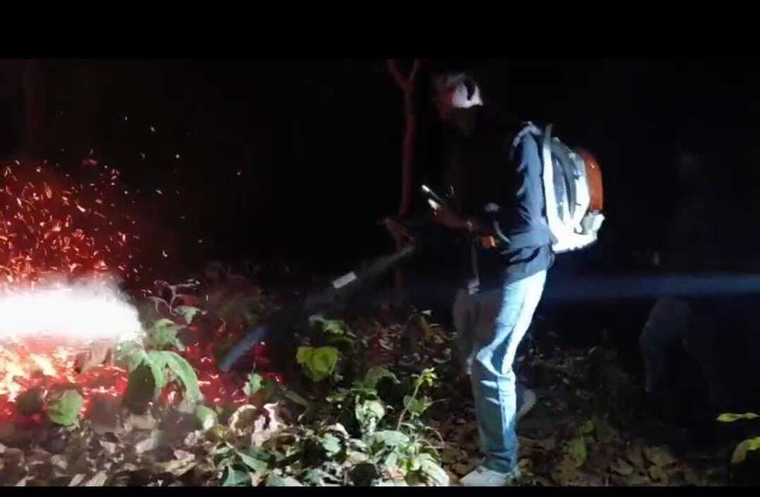 Bokaro News : झुमरा पहाड के जंगल में लगी आग को बुझाने में जुटा वन विभाग