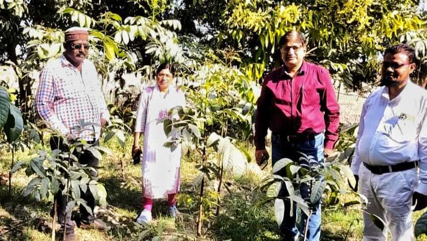 पौधरोपण कार्य में और भी तेजी लाने का निर्देश