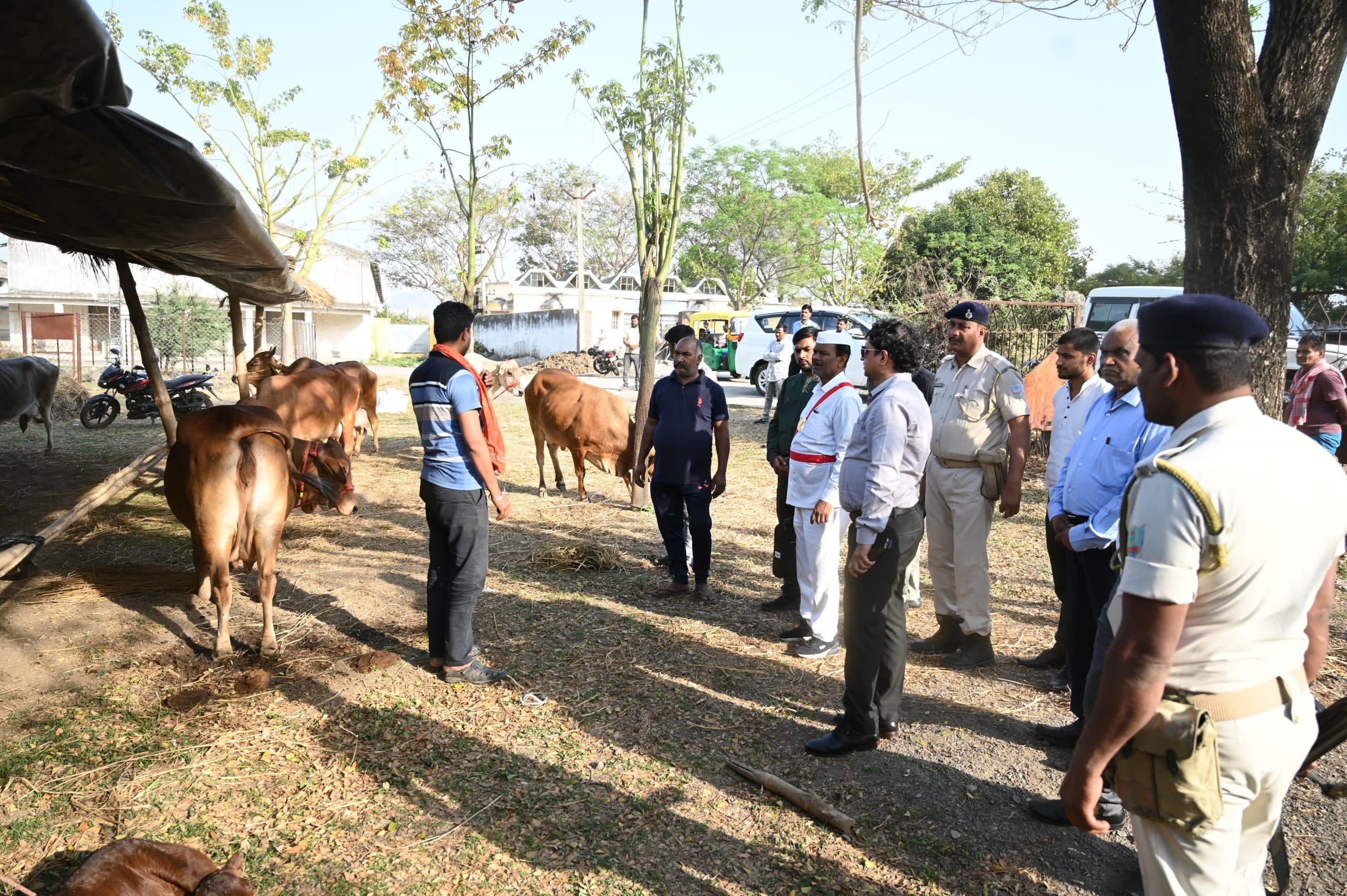 डीसी ने किया गव्य विकास विभाग का औचक निरीक्षण, प्रधान लिपिक को शो-कॉज