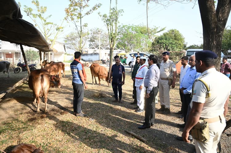 डीसी ने किया गव्य विकास विभाग का औचक निरीक्षण, प्रधान लिपिक को शो-कॉज