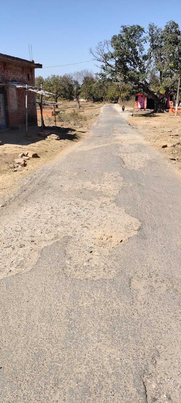 Giridih News :तीन जिलों को जोड़ने वाली सड़क बदहाल