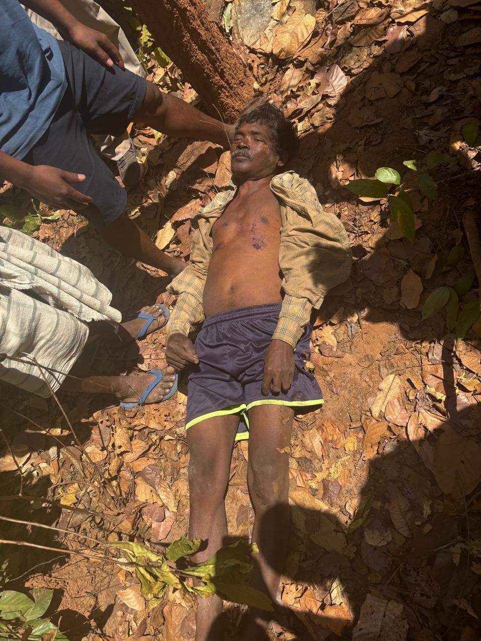 East Singhbhum News : पोटका में लापता बैल को खोजने जंगल में गये किसान को हाथी ने कुचला, मौत