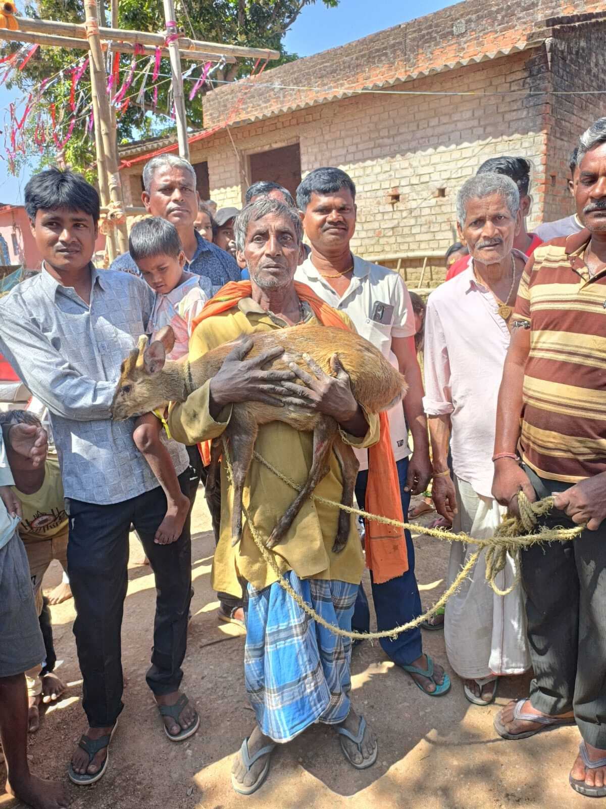 East Singhbhum News : दलमा जंगल से भटककर बोड़ाम बाजार पहुंचा हिरण, किसान ने कुत्तों से बचाकर वन विभाग को सौंपा