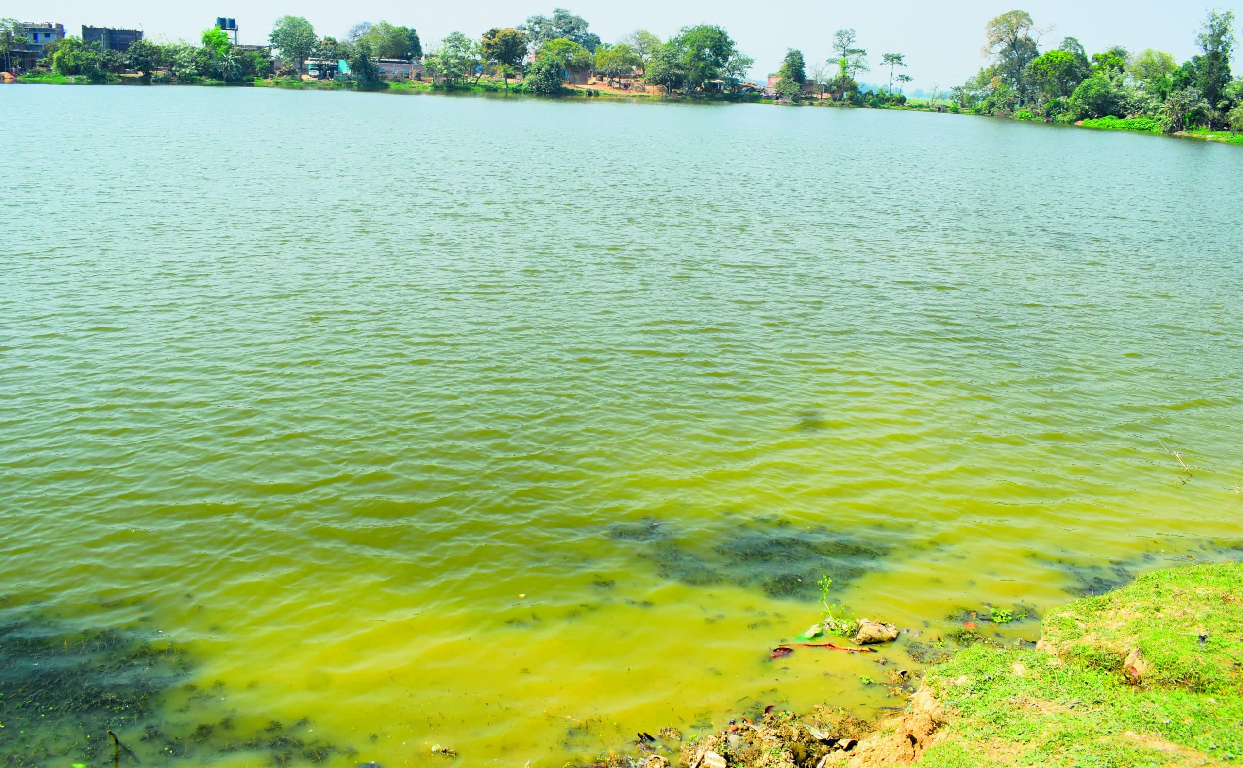 buxar news : नाले में बदली काव नदी, अस्तित्व पर छाया संकट