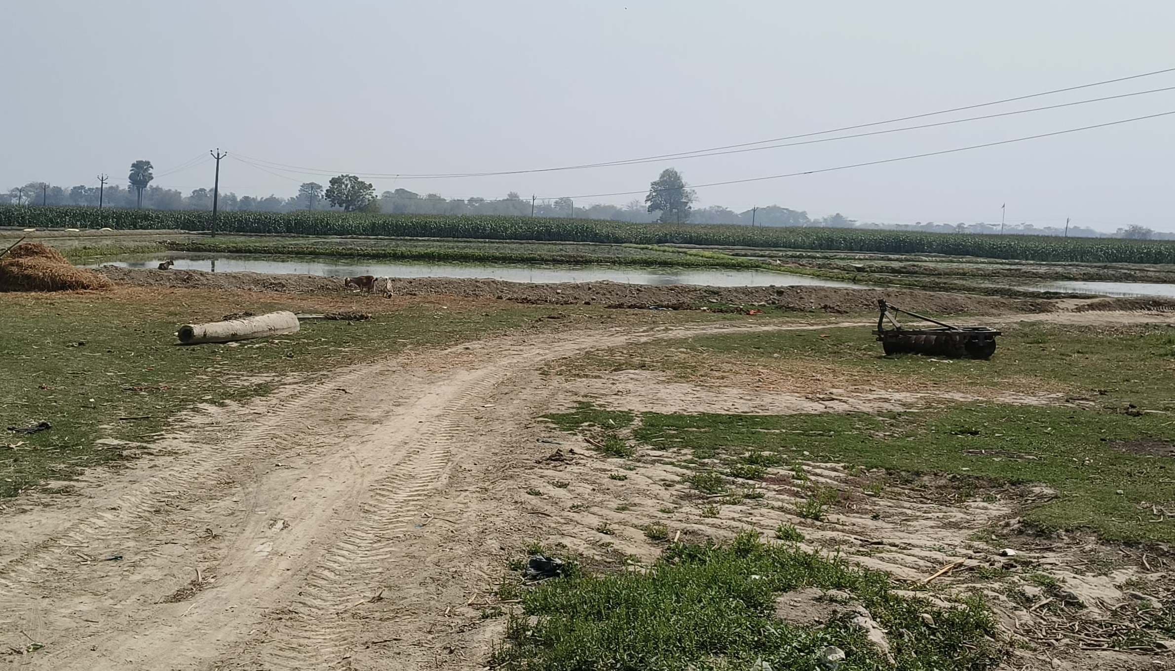 बिजली का का लटक रहा तार, हादसे की आशंका