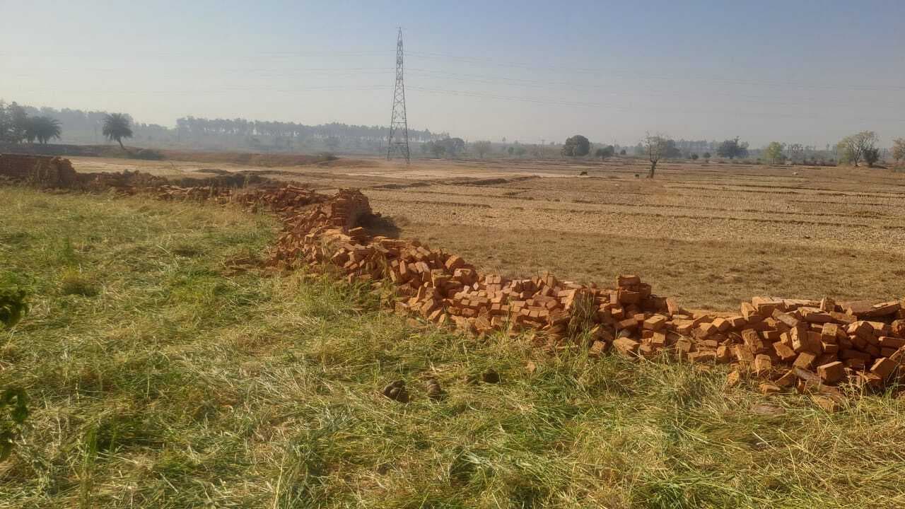 Giridih News : 32 हाथियों के झुंड पहुंचा बागोडीह, फसलें रौंदी
