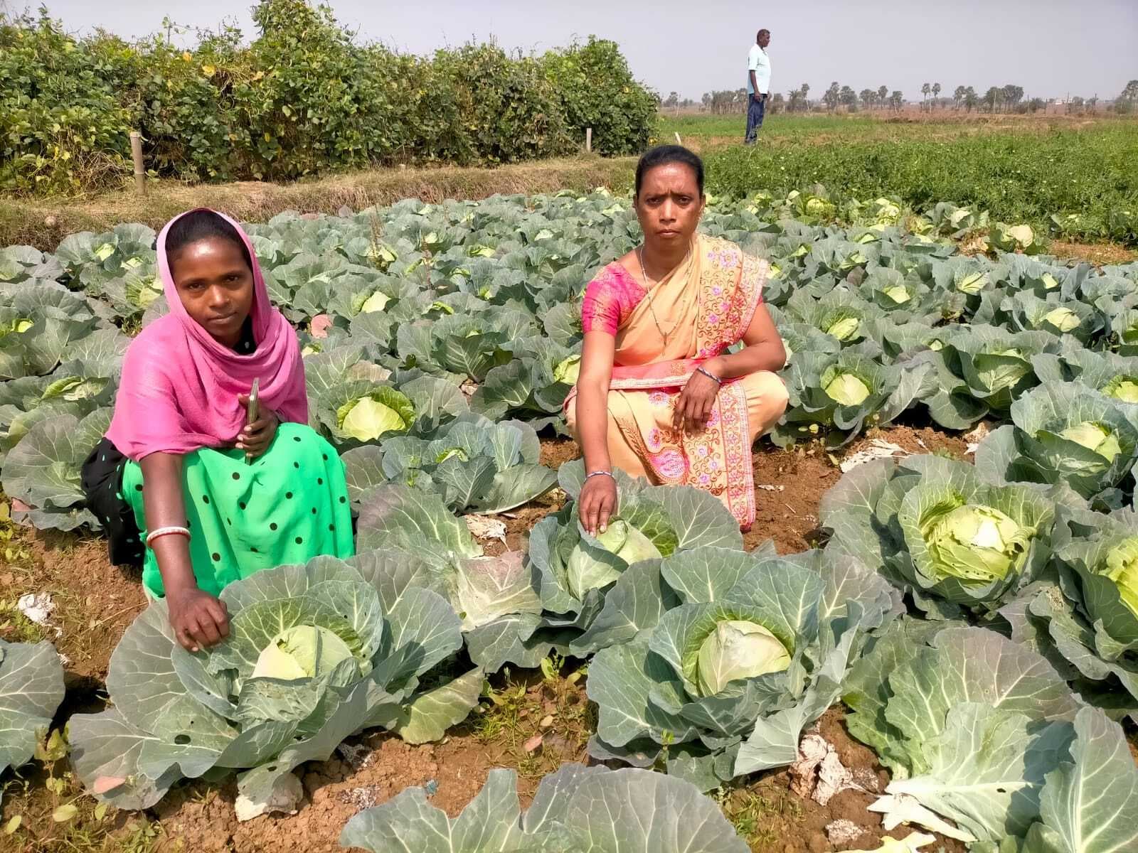 सब्जी की खेती कर बिलाली बनीं आत्मनिर्भर, लोगों को कर रहीं प्रेरित