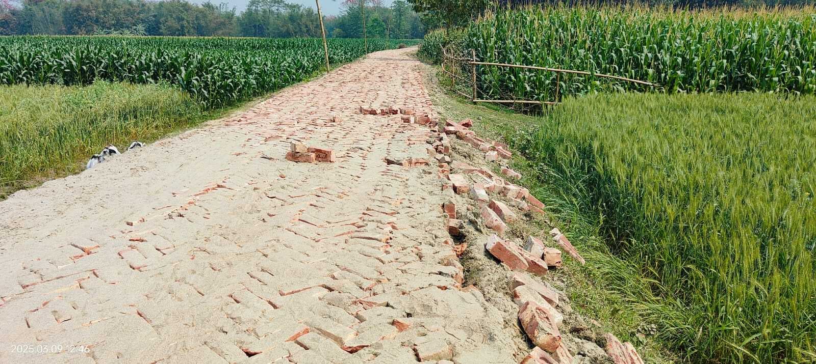 मुखिया द्वारा बनाये गए अर्द्ध पक्की सड़क को तोड़ दिया