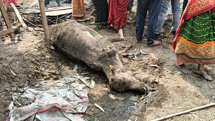 आग से चार घर जले, 14 मवेशियों की झुलसकर मौत