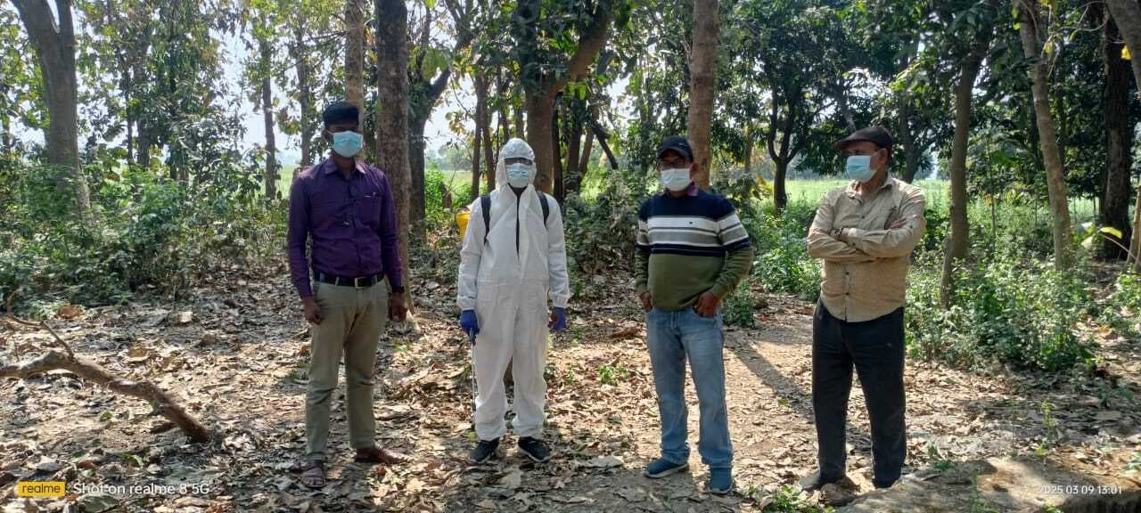 कौओं की मौत के बाद तेघड़ा में रोगाणुरोधी दवा का छिड़काव, सैंपल किया कलेक्ट