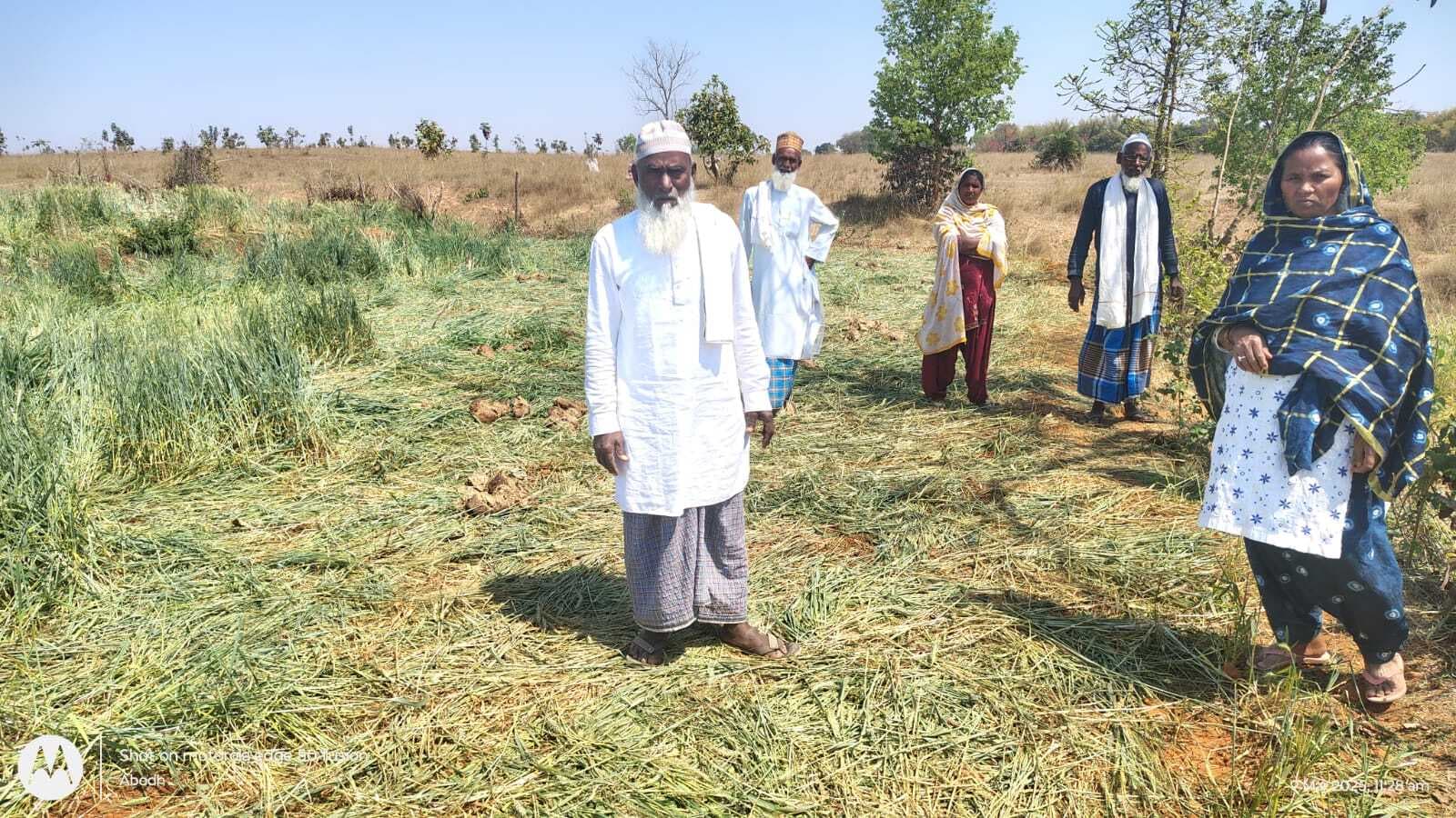 Giridih News: बिरनी में हाथियों ने दूसरे दिन भी मचाया उत्पात